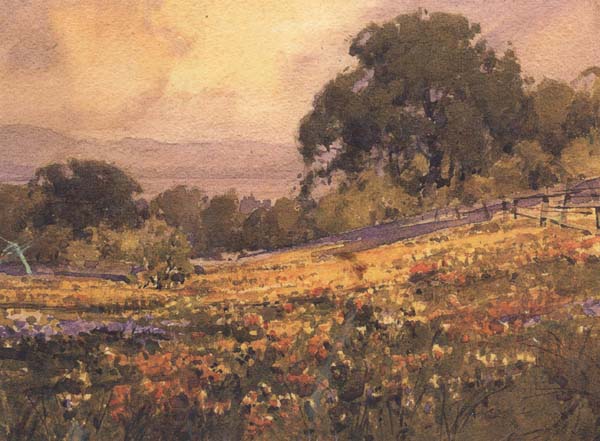 California landscape